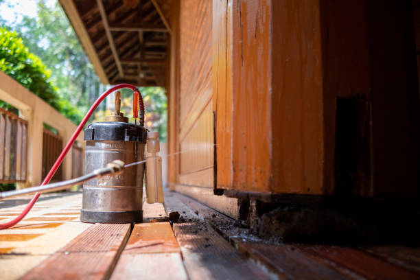 Best Ant Control Services  in Monrovia, MD