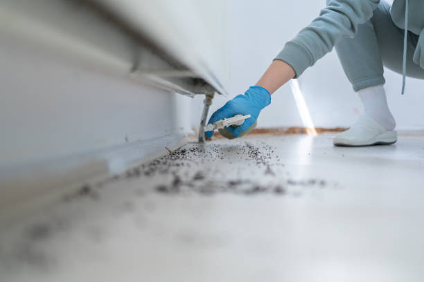 Best Flea Control Services  in Monrovia, MD