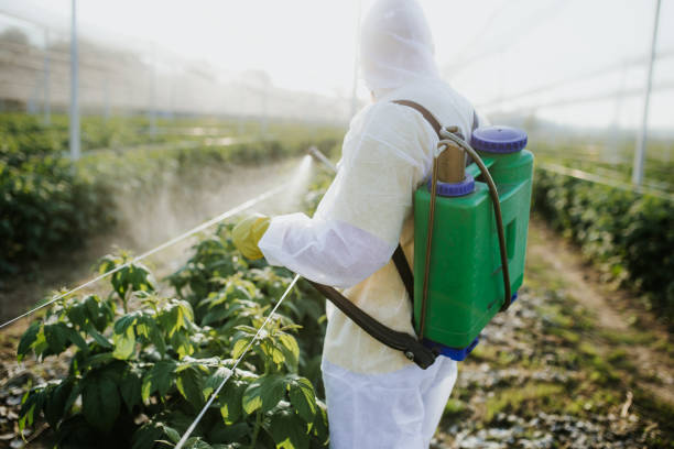 Best Wasp Removal Services  in Monrovia, MD